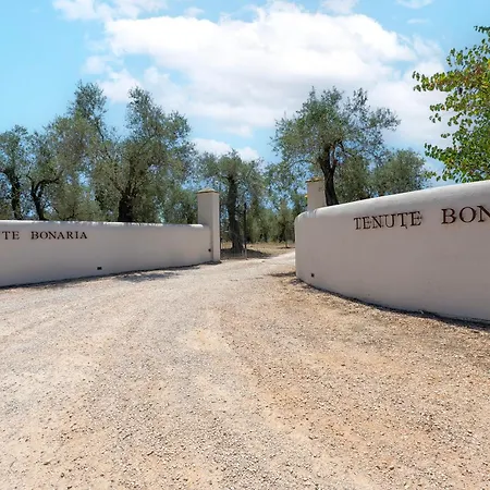 Dimora Sella - Alice ヴィラ